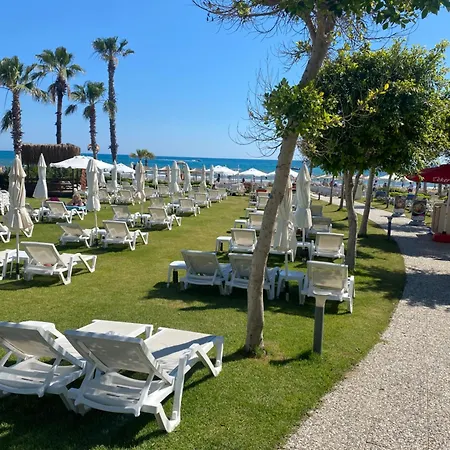 Meryam Deluxe 锡德