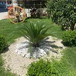 Bed & Breakfast Meryam Deluxe