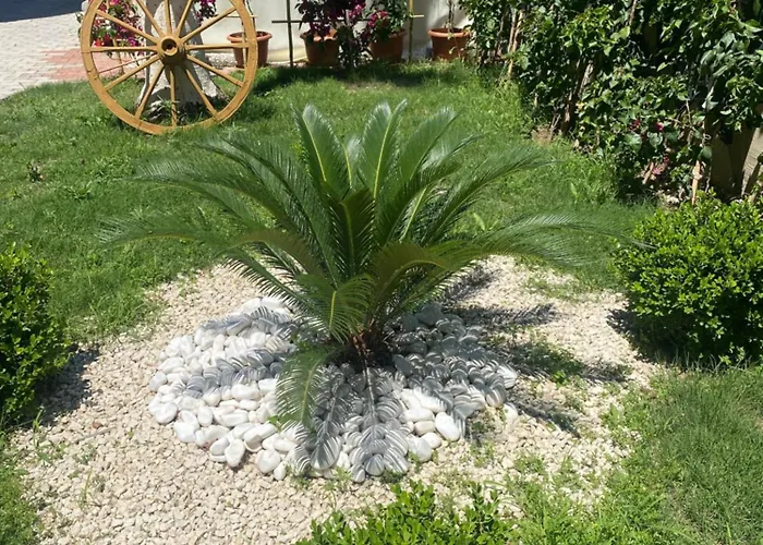 Oda ve Kahvaltı Meryam Deluxe